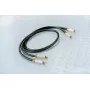 DH Labs Air Matrix interconnect RCA 1.0m